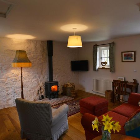 Dandelion Cottage, Amroth Zewnętrze zdjęcie