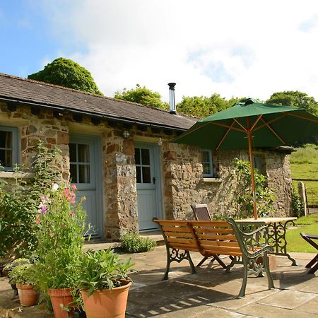 Dandelion Cottage, Amroth Zewnętrze zdjęcie