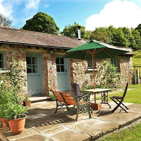 Dandelion Cottage, Amroth Zewnętrze zdjęcie