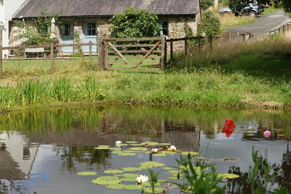 Dandelion Cottage, Amroth Zewnętrze zdjęcie
