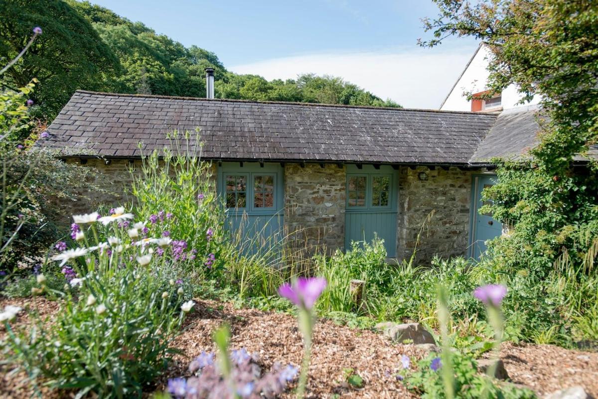 Dandelion Cottage, Amroth Zewnętrze zdjęcie