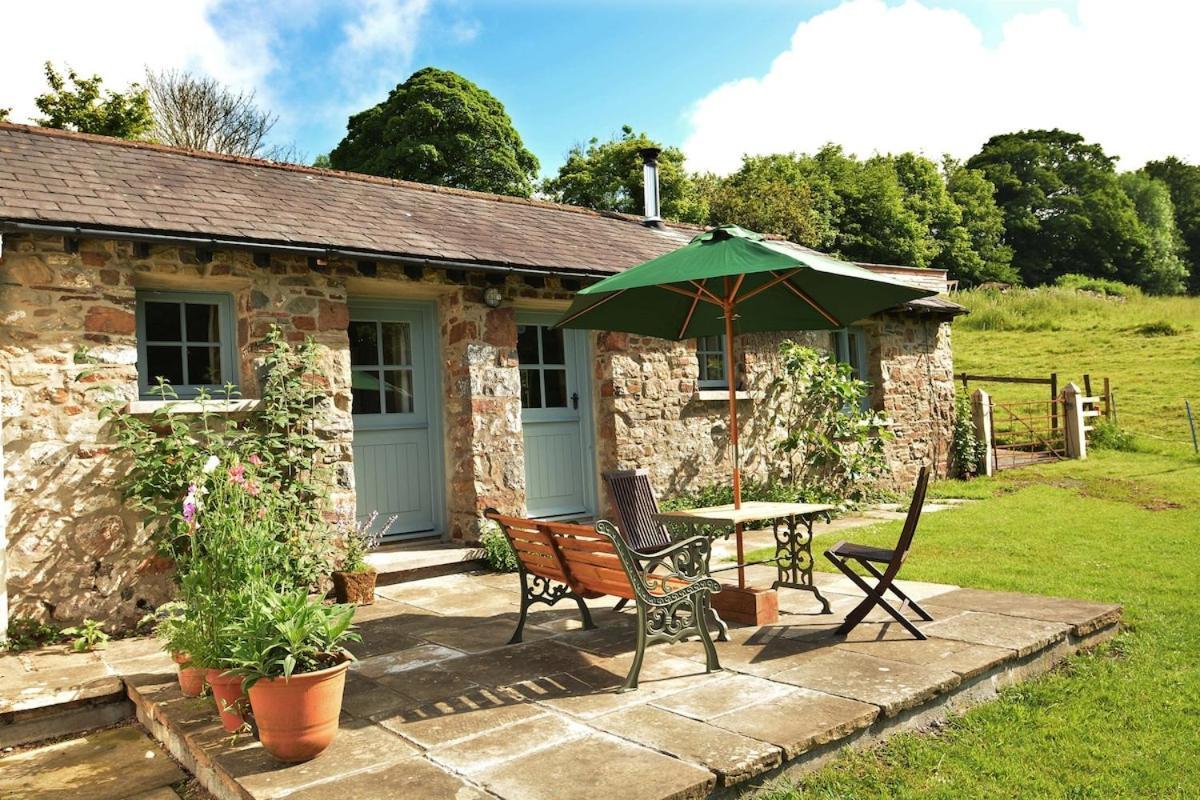 Dandelion Cottage, Amroth Zewnętrze zdjęcie